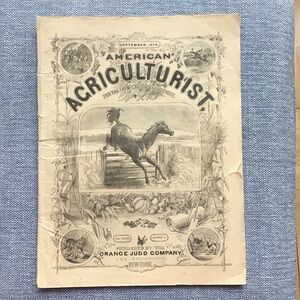 Antique 1878 American Agriculturist Magazine‎ Farm Garden Horse Newspaper